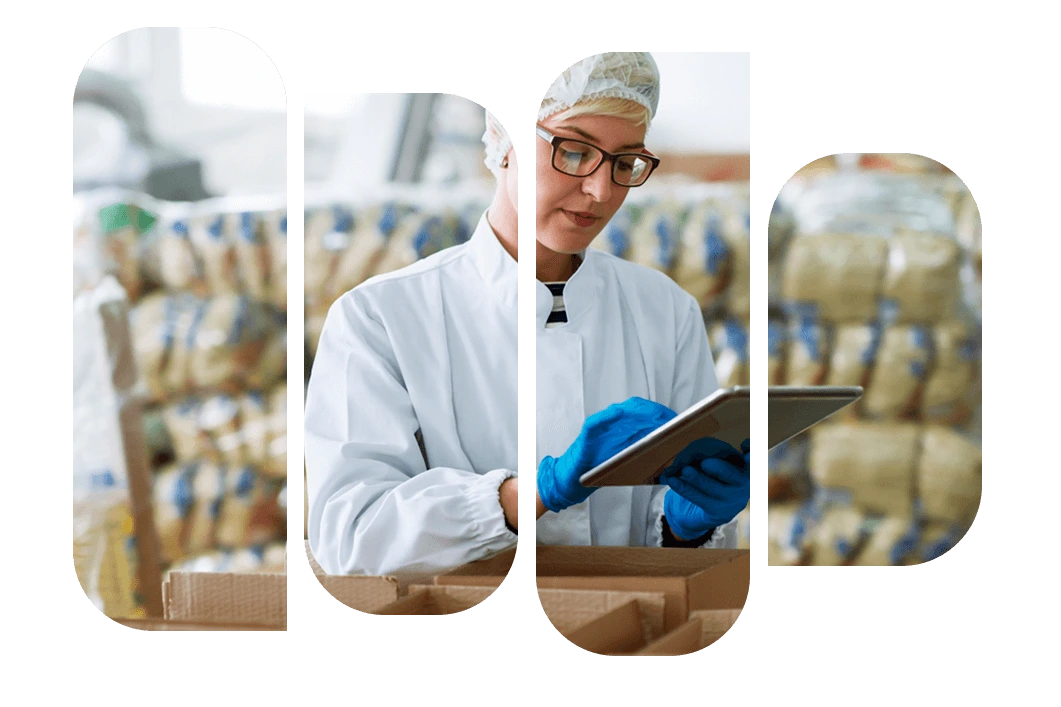 Low-Code & No-Code Business Process Automation
