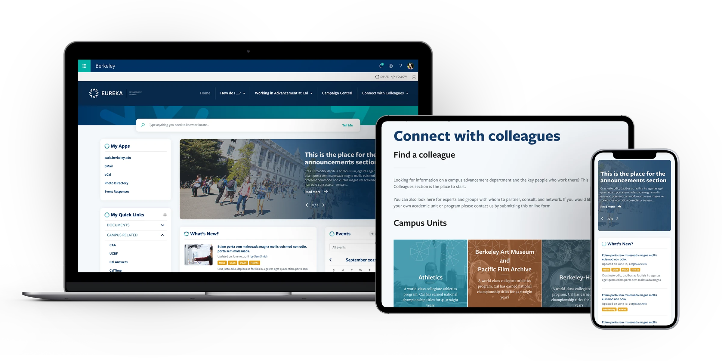 Berkley_Portfolio